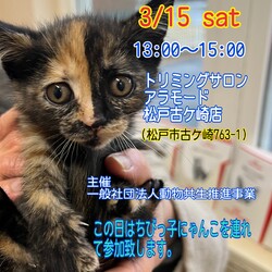 保護犬猫譲渡会