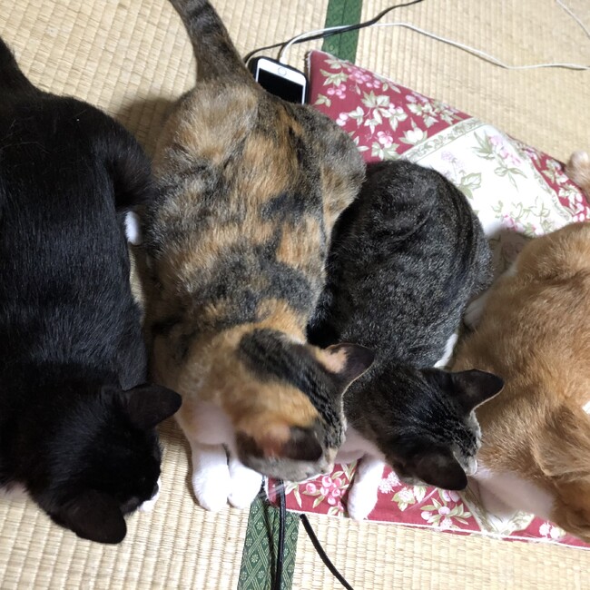 たなみ⭐︎のカバー写真