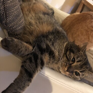 の写真