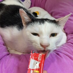 withcatチャリティーフリーマーケット in 安満遺跡公園