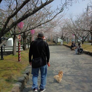 なっつ　もうすぐ桜の季節だね