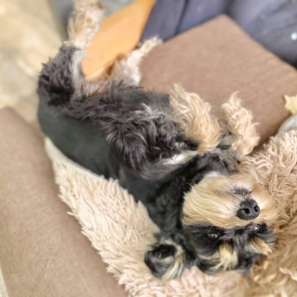 nardi　ナルディーのカバー写真