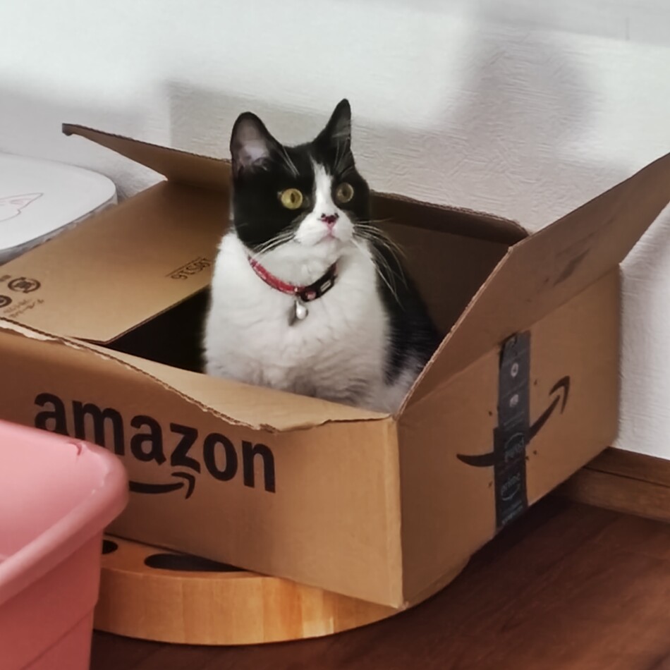 あずきのカバー写真