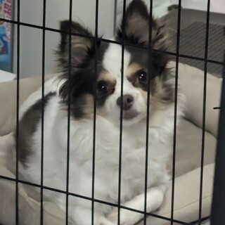 5歳9ヶ月の男の子