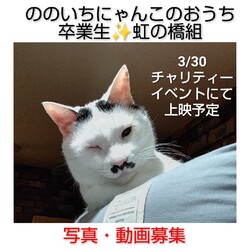 ののいちにゃんこのおうちチャリティーイベント サムネイル2