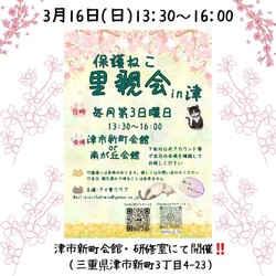 保護猫の里親会in津市