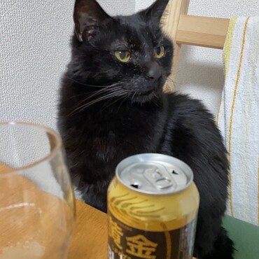 呑んでる風。