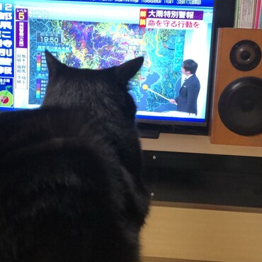 お天気お兄さんが振っている棒の先の黄色い丸が、気になって。