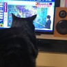 お天気お兄さんが振っている棒の先の黄色い丸が、気になって。