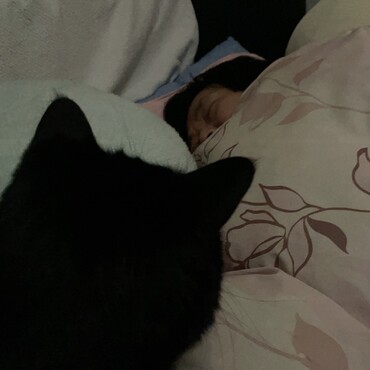 （いま、夜中の3時です。これから飼い主を起こしてみようと思いまーす）