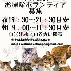 ⭐︎お世話ボランティアを募集中です⭐︎