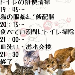 「⭐︎お世話ボランティアを募集中です⭐︎」サムネイル2