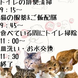 「⭐︎お世話ボランティアを募集中です⭐︎」サムネイル3