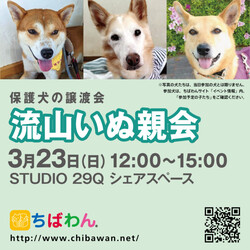 3月23日ちばわん『流山いぬ親会』開催のご案内 サムネイル2