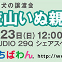 3月23日ちばわん『流山いぬ親会』開催のご案内 サムネイル3