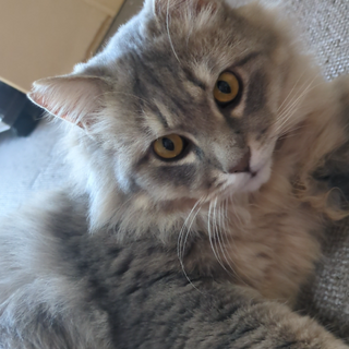 他で、ご縁が繋がりました　有難うございました