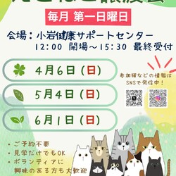 えどねこ譲渡会 江戸川区保健所（小岩健康サポートセンター）