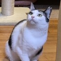 可愛い女の子　若葉ちゃん