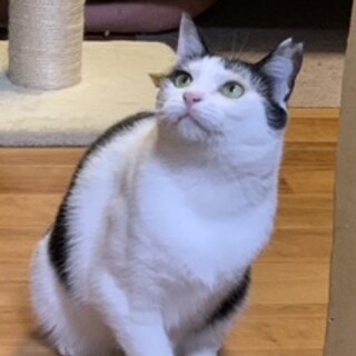 可愛い女の子　若葉ちゃん