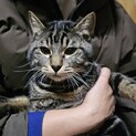 甘えん坊　丸顔のそらくん