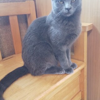 とても人懐っこい女の子です！