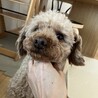 あさひと太陽