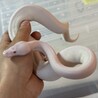むと。