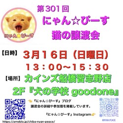 にゃん☆ぴーす猫の譲渡会【カインズ船橋習志野店2F『犬の学校goodone』】