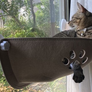 毎日まったり過ごしてます!