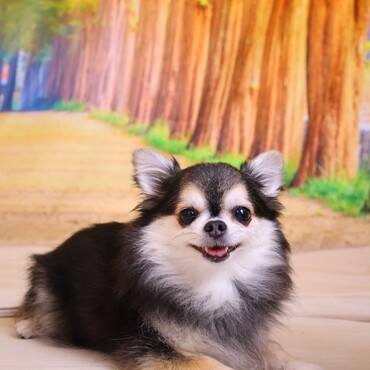 今年の静岡旅行