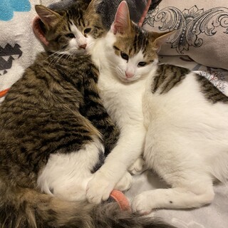 元気な男の子たちです