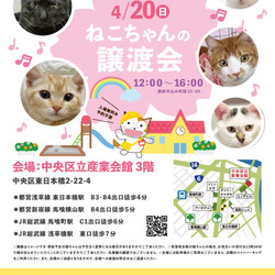 ねこざんまい譲渡会@東日本橋