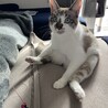 こーちゃんすけ