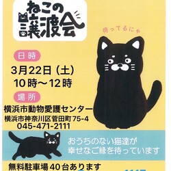 保護猫譲渡会in横浜市動物愛護センター サムネイル1