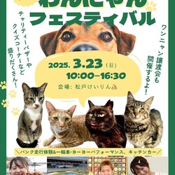 松戸けいりん:わんにゃんフェスティバル
