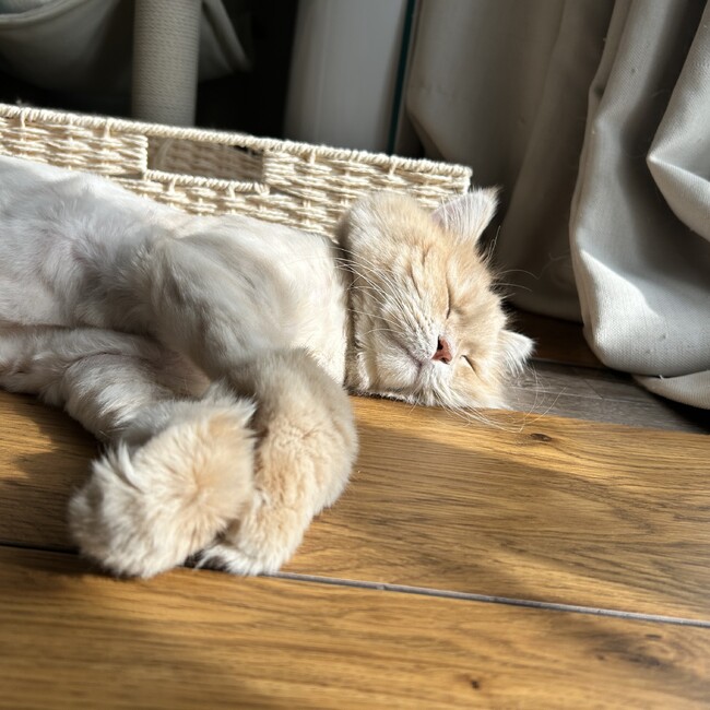 tomeko35のカバー写真