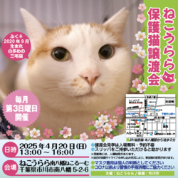 ねこうらら 保護猫譲渡会