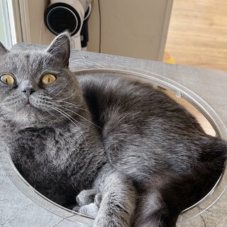 マイペースで甘えん坊な男の子