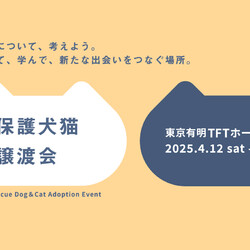パナソニック保護犬猫譲渡会 2025.04 東京