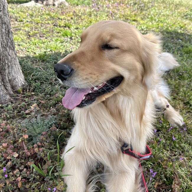 アンディとジョンのカバー写真