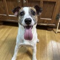 ❣️家族がきまりました❣️