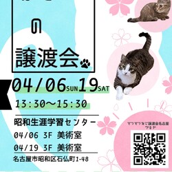 猫の譲渡会　in　名古屋市昭和生涯学習センター