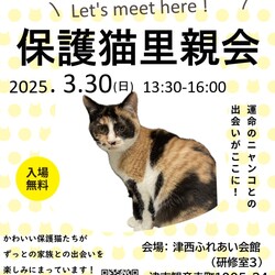 保護猫里親会in津西ふれあい会館