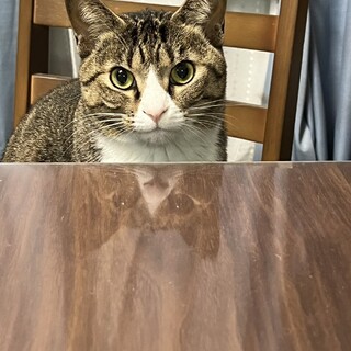 慣れてなくてもいいよと仰ってくださる方に