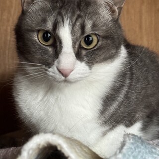 鼻筋がきれいな　不二子ちゃん(3兄妹)