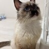 きゅるきゅるおめめ