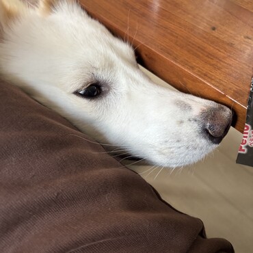 なんですかその美味しそうな香りは！！