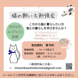猫の飼い方勉強会
