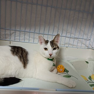 甘えん坊のギルビーくん♪