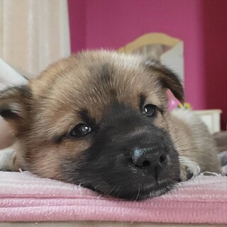 トライアル中のため新規受付を中止してます